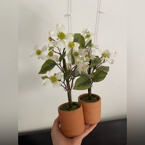 2 Flower Plants in Ceramic Pot (fake flowers)
